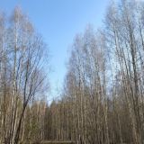 Еремей Запашник: народные приметы 14 мая