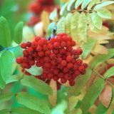 Епифанов день: народные приметы в праздник 25 мая