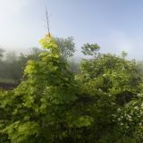 Иванов день: что нельзя делать в православный праздник 7 июня