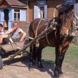 Еремей-распрягальник: приметы и запреты 13 июня