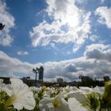 День Федора Колодезника: приметы и традиции 21 июня