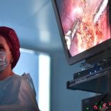 В челябинском приюте кошка усыновила суриката