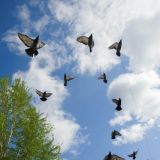 Ярилин день: Что нельзя делать 1 июля 2022 года