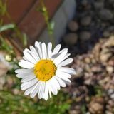 День Петра и Февронии: Что нельзя делать 8 июля 2022 года