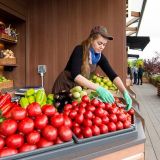 В Нагатинском Затоне открылась одна из самых больших ярмарок Москвы