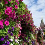 Собянин пригласил москвичей и гостей города посетить сады 