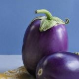 Баклажаны: польза и вред сезонных овощей