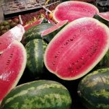 Как выбрать арбуз правильно – советы Роспотребнадзора