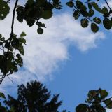 День Онуфрия Молчаливого: церковный праздник 3 августа