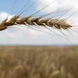 День Бориса и Глеба: что нельзя делать в церковный праздник 6 августа