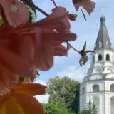 Калинин день: народные приметы в праздник 11 августа