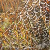 Матвеев день: приметы и традиции в православный праздник 22 августа 