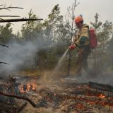 Собянин: Ситуация с пожарами в Рязанской области очень сложная