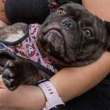 Глазастый красавец восхитил пользователей Сети (видео)