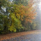 День Фаддея: что нельзя делать в праздник 3 сентября