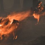 Жителей Рязанской области предупредили о возвращении огненного шторма