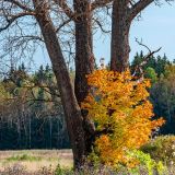Семин день: народные приметы и традиции 14 сентября