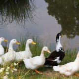 Никита Гусятник: что нельзя делать 28 сентября