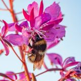 Трофимов день: что нельзя делать в праздник 2 октября