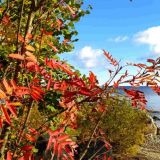 День Иоанна Богослова: народные приметы в праздник 9 октября