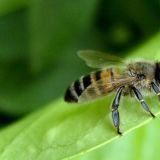 День Савватия: что нельзя делать 10 октября 2022 года