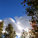 Какой праздник отмечается 5 октября 2022 года