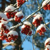 Сергей Зимний: что нельзя делать 20 октября  