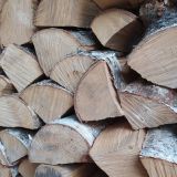 Яков Дровопилец: что нельзя делать 22 октября