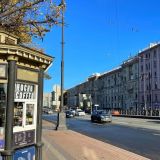 Горбатые существа вышли к проезжей части в Сочи (видео)