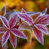 Иванов день 1 ноября: что нельзя делать в церковный праздник