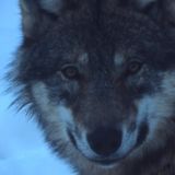 Филипповка и Куделица: что нельзя делать в праздник 27 ноября