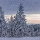 Федор Студит: народные приметы в праздник 24 ноября