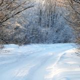 Платон и Роман Зимоуказатели: приметы и традиции 1 декабря