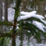 Дочь Заворотнюк поделилась фотографиями с отдыха в компании подруг