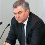 Володин: Суррогатное материнство для иностранцев запрещено