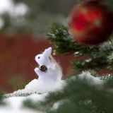 Киркоров, Басков, Ягудин: кому из звезд Кролик принесет удачу в 2023 году