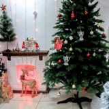 Новогодняя битва: коты против елок – видео