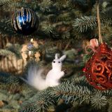 ТОП-3 самых добрых рождественских фильмов о животных