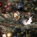 Рождественский сочельник: что можно и нельзя делать 6 января