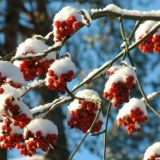 Абросимов день: народные приметы в праздник 20 декабря