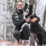 Приют Краснодара приглашает на прогулку с четвероногими друзьями