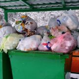 Диковинную птицу нашли живой на помойке в мороз