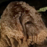 История спасения щенка попала на видео