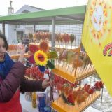 Собянин рассказал о красочной программе фестиваля 