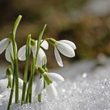 Кириллов день: что нельзя делать 27 февраля