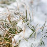 День Авдотьи Весновки: что нельзя делать 14 марта