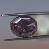 Муравей тащит на себе огромный бриллиант (видео)