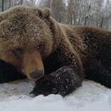 Евтропиев день: что можно и нельзя делать 16 марта