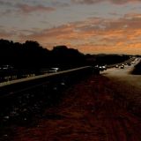 Взрослая рысь вышла на ночную трассу: видео