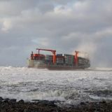 Белуху сняли на видео у берегов Приморья